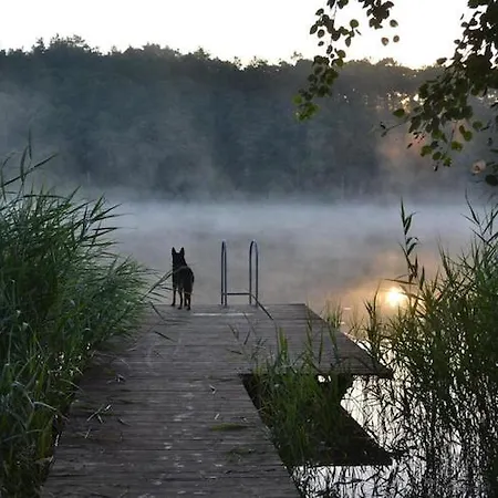 Scandinavian House Overlooking The