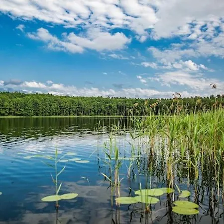 Scandinavian House Overlooking The Klepnica