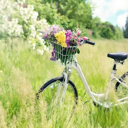 Scandinavian House Overlooking The Ferienhaus