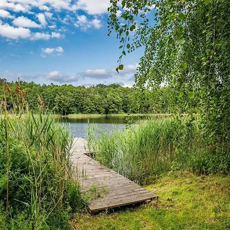 Scandinavian House Overlooking The *