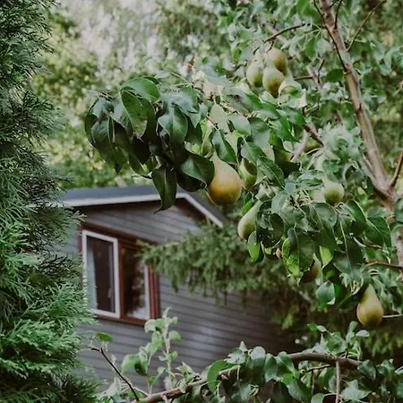 Scandinavian House Overlooking The Klepnica
