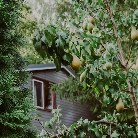 Scandinavian House Overlooking The Klepnica